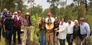 Plan Ambiental CDMX 2025 para enfrentar la crisis climática