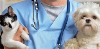 México celebra hoy el Día del Médico Veterinario Zootecnista