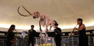 Noche de museos y otras actividades de verano en CDMX