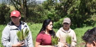 Siembran 400 nuevos árboles en Santiago Tulantepec