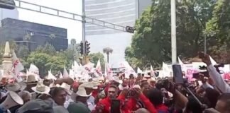 Simpatizantes del PRI marchan en apoyo a “Alito” Moreno