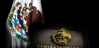 Fernández Noroña llama a la unidad contra el racismo y el fascismo