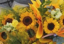 Un domingo teñido de sol: la magia de regalar flores amarillas