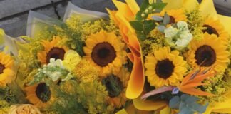 Un domingo teñido de sol: la magia de regalar flores amarillas