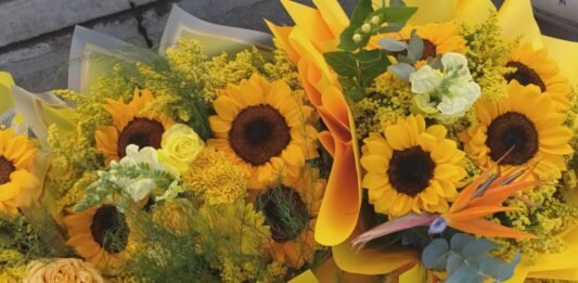 Un domingo teñido de sol: la magia de regalar flores amarillas