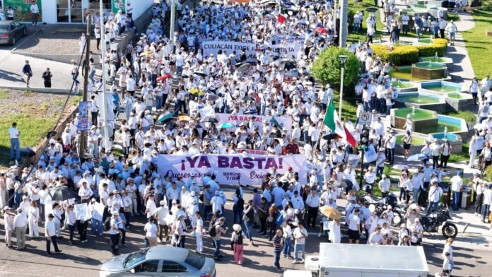 70bb42f2-13ec-4cc1-866d-55cc034f56cd