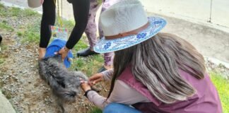 Hidalgo reafirma compromiso contra la rabia en el Día Mundial 2025