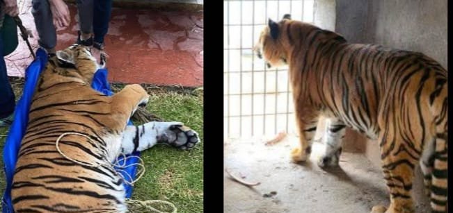 e78ff0b7-6b94-4edc-a34e-4597454657fb (1)