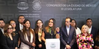 Rojo de la Vega propone aumentar penas por robo de autopartes