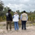 Semarnath activa protocolo por avistamiento de felino silvestre en Tlaxiaca