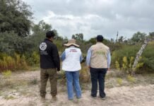 Semarnath activa protocolo por avistamiento de felino silvestre en Tlaxiaca