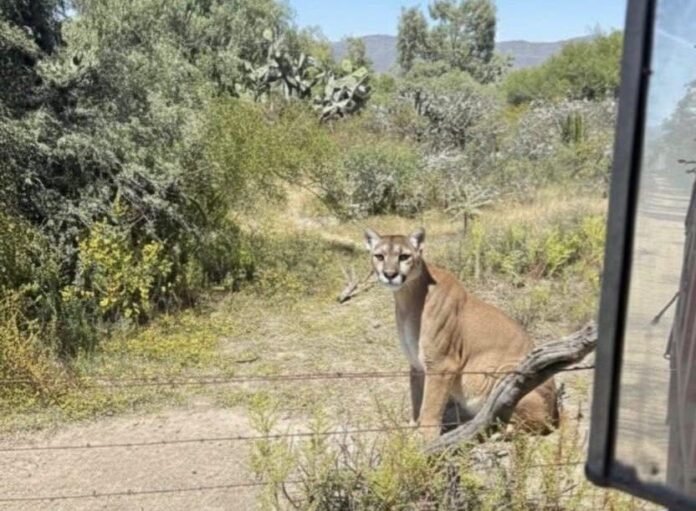 0ca71e76-05ad-452e-a787-fc5682c1bfce