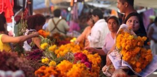 Tianguis de Día de Muertos inicia el 27 de octubre en Tulancingo