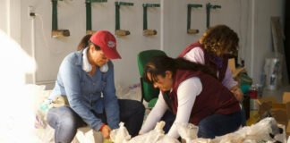 Agricultor dona 15 toneladas de papa para familias afectadas por lluvias