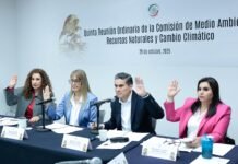 Aprueba comisión dictamen para la conservación de arbolado urbano