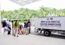 Llega cargamento de amor desde Ixtapa para los animalitos afectados por las lluvias en Hidalgo