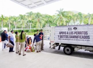 Llega cargamento de amor desde Ixtapa para los animalitos afectados por las lluvias en Hidalgo