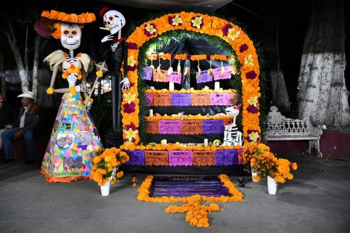 WhatsApp Image 2025-10-30 at 9.31.50 PM