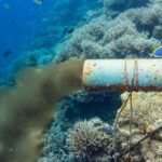 México presenta plan para proteger 30% de sus ecosistemas antes de 2030