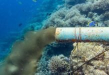 México presenta plan para proteger 30% de sus ecosistemas antes de 2030