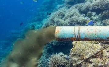 México presenta plan para proteger 30% de sus ecosistemas antes de 2030