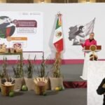 Presenta Sheinbaum el Plan Nacional de Maíz Nativo “El Maíz es la Raíz”