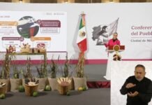 Presenta Sheinbaum el Plan Nacional de Maíz Nativo “El Maíz es la Raíz”