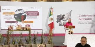 Presenta Sheinbaum el Plan Nacional de Maíz Nativo “El Maíz es la Raíz”