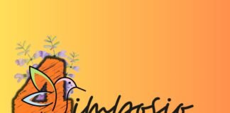 Cuautepec: Cuarto Simposio Internacional de Jardines para Polinizadores