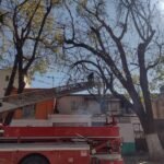 Tulancingo: Inicia mantenimiento de arbolado en Calzada 5 de Mayo