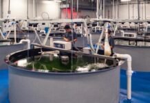 Reconoce FAO a Santomar por su liderazgo en Sistemas Alimentarios Acuáticos Sostenibles