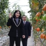 Convenio Saderth-FES Aragón para la innovación y desarrollo agropecuario