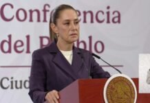 Sheinbaum denuncia agresión; pide revisar legislación en el país