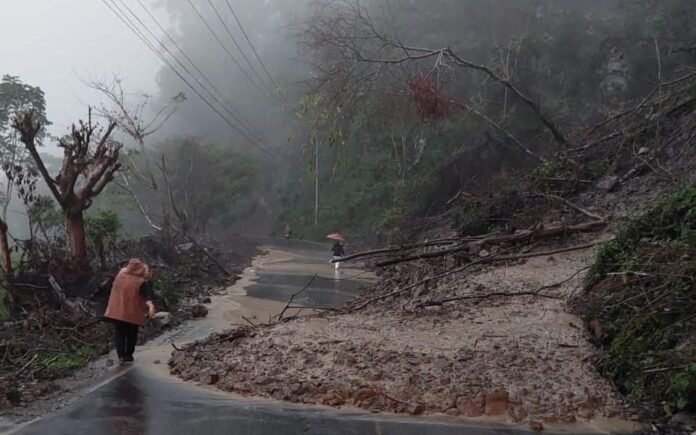 921c078d-b5c2-47ff-aeaa-faa05377fc8d