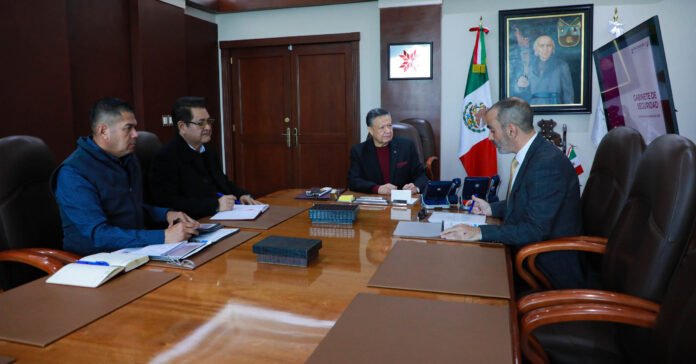 GABINETE DE SEGURIDAD 241125