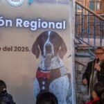Realizan Mega Jornada de Esterilización en Villa de Tezontepec con apoyo de Fundación Zeus