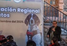 Realizan Mega Jornada de Esterilización en Villa de Tezontepec con apoyo de Fundación Zeus