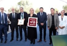 Empresa española impulsará a Tepeji como hub tecnológico