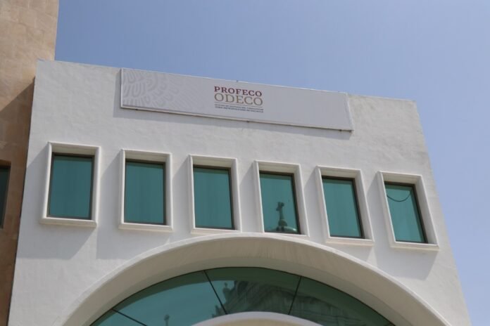 WhatsApp-Image-2024-10-26-at-2.48.34-PM