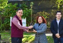 Tula dona 100 ahuehuetes a la UAM Azcapotzalco