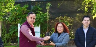 Tula dona 100 ahuehuetes a la UAM Azcapotzalco