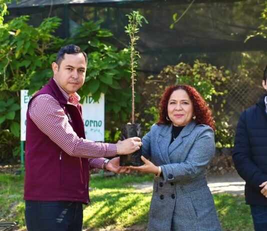 Tula dona 100 ahuehuetes a la UAM Azcapotzalco