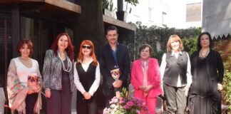 Mujeres que rompen límites: relatos que desafían el sistema