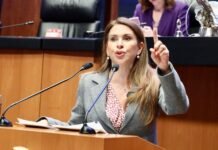 Denuncia Viggiano ‘pacto de impunidad’, en “Estafa Siniestra”