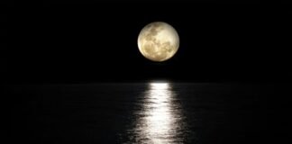 La “luna fría” iluminará el cielo; será la última superluna del 2025