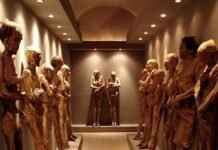 Momias de Guanajuato en riesgo de desaparición: INAH