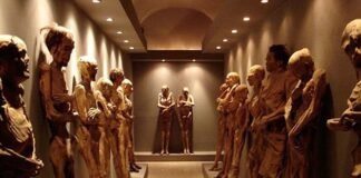 Momias de Guanajuato en riesgo de desaparición: INAH