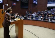 Lilly Téllez confronta a Noroña por asesinato de Carlos Manzo