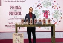 Gobierno lanza “Frijoles Bienestar” y anuncia Feria del Frijol y la Agrobiodiversidad