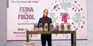 Gobierno lanza “Frijoles Bienestar” y anuncia Feria del Frijol y la Agrobiodiversidad